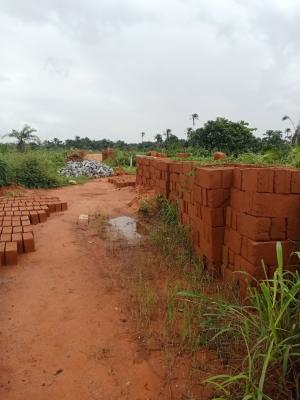 Udala Estate, Off Onitsha - Owerri Road, Onitsha, Anambra, Mixed-use Land for Sale