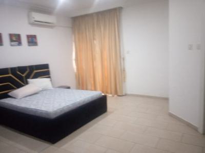 a Luxury 5 Bedroom Fully  Furnished and Serviced  Apartment, Imo River, Maitama District, Abuja, Terraced Duplex for Rent