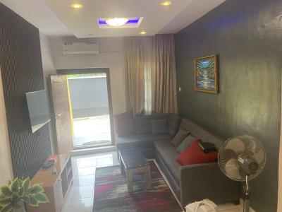 Serviced & Fully Furnished 2 Bedroom Apartment, Wasimi Primary Health Centre, Maryland, Lagos, Flat / Apartment for Rent