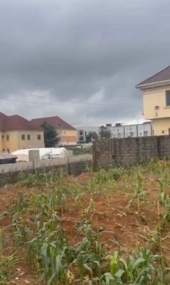 1000sqm, Residential, C of O, Jahi, Abuja, Residential Land for Sale