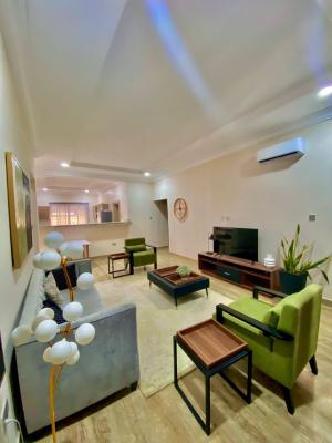 Diplomatic 2 Bedroom Serviced & Furnished Apartment,24/7 Services, Bq, Serene Neighborhood on a Good Access Road, Guzape District, Abuja, Flat / Apartment for Rent