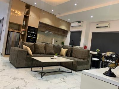 Beautifully Fully Furnished 2 Bedrooms Serviced Apartment, Cyberville Estate Besides Victoria Bay 3, Ikate, Lekki, Lagos, Flat / Apartment for Sale