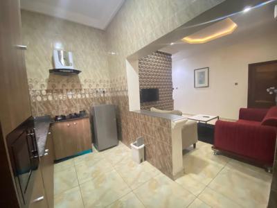 Fully Furnished Standard Ensuit 1 Bedroom Spacious Apartment, Ado, Ajah, Lagos, Mini Flat (room and Parlour) for Rent