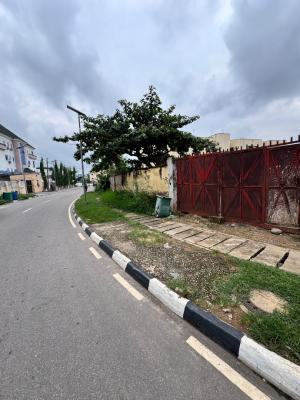 Perfect Sandwiched Residential Land + Approved Plan, Off Michael Okpara Way, Zone 2, Wuse, Abuja, Residential Land for Sale