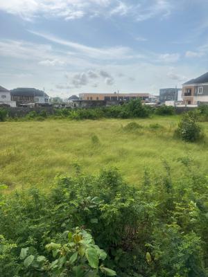 Over 2000 Square Meters of Dry Land Located at Ogombo,, Ogombo Road, Ogombo, Ajah, Lagos, Commercial Property Joint Venture