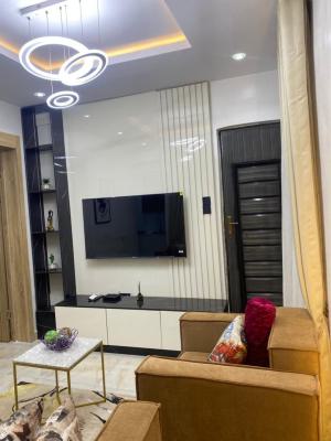 Tastefully Furnished One Bedroom Apartment, Sabo, Yaba, Lagos, Mini Flat (room and Parlour) Short Let