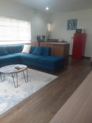 Fully Furnished 1bedroom Flat, Off Adetokunbo Ademola, Victoria Island (vi), Lagos, Mini Flat (room and Parlour) for Rent