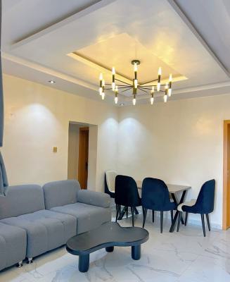 Tastefully Furnished 2 Bedrooms Flat / Apartment, Ilupeju, Lagos, Flat / Apartment Short Let