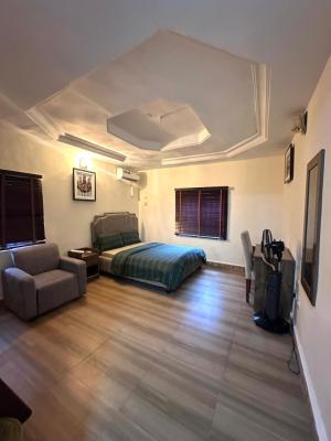 Fully Furnished 2 Bedroom Flat, Wuse 2, Abuja, Flat / Apartment for Rent