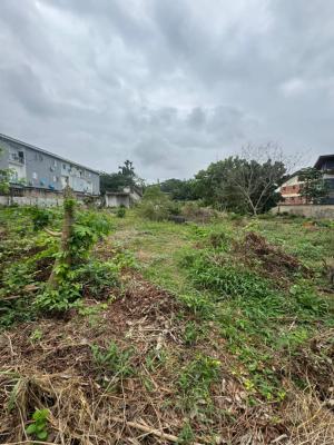 Land, Palmgrove, Ilupeju, Lagos, Mixed-use Land for Sale