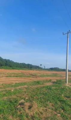 a Standard, Dry Tenement Building, Sawmill, Gbagada, Lagos, Mixed-use Land for Sale