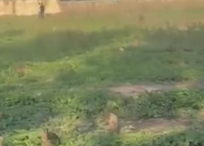 a Standard, Stunning Land, Ifako, Gbagada, Lagos, Mixed-use Land for Sale