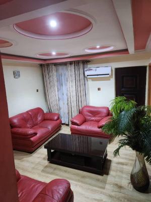 Luxury 4 Bedroom Semi Detached Duplex, Gbagada Phase 2, Gbagada, Lagos, Semi-detached Duplex for Rent