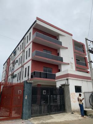 Spacious and Elegant 2 Bedroom Apartment, Ologolo, Lekki, Lagos, Flat / Apartment for Sale