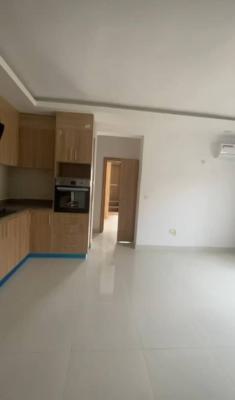 Luxury Mini Flat with Open Plan Kitchen, Spg Rd, Ologolo, Lekki, Lagos, Mini Flat (room and Parlour) for Rent