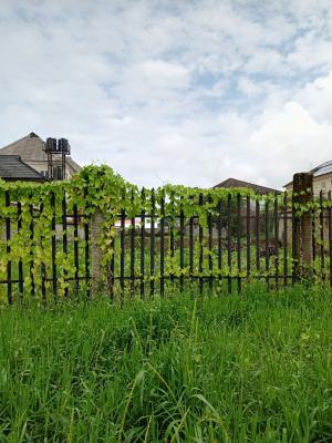 Heactare of Land Facing Freedom Way Ikate Lekki, Directly Facing Freedom Way Ikate Lekki, Lekki, Lagos, Mixed-use Land for Sale