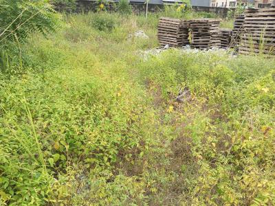 Fenced Cornerpiece Bareland of Approximately 1, 096sqm, Off Palace Road, Oniru, Victoria Island (vi), Lagos, Mixed-use Land for Rent