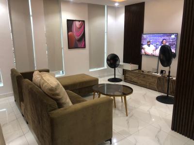 Tastefully Furnished 2 Bedroom Apartment, Memudu Aremu Street, Ikate, Ijeshatedo, Surulere, Lagos, Flat / Apartment Short Let