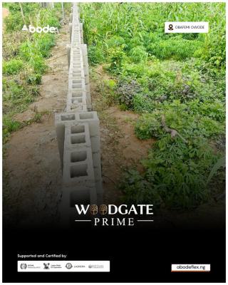 Land, Obafemi Owode, Ogun, Land for Sale