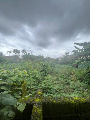 Land in Uptown Estate, Obiri, Ikwerre, Rivers, Land for Sale