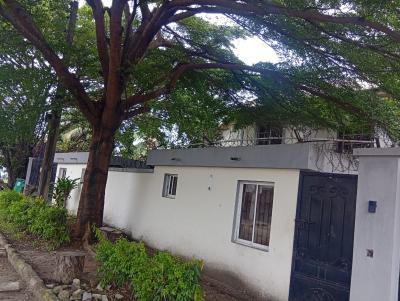 a Give Away Spacious 4 Bedroom Detached Duplex with Bq, Lekki Phase 1, Lekki, Lagos, Semi-detached Duplex for Rent