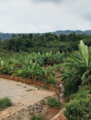 Jv, Emmanuel Ogalla Street, Katampe (main), Katampe, Abuja, Residential Land Joint Venture