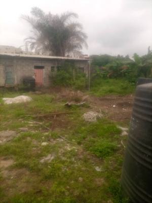 Virgin Plot of Land Measuring 250sqm in Maryland, Peace Estate, Maryland, Lagos, Land for Sale