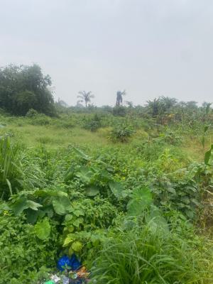 Ikorodu Land with Perfect Title -- Secure Investment, Peace of Mind!, Erunwen, Ikorodu, Lagos, Mixed-use Land for Sale