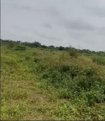 13 .3 Hectares  of Bare Land, Abomity, Ibeju, Ibeju Lekki, Lagos, Mixed-use Land for Sale