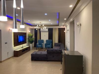 Luxury 2 Bedrooms Flat with Excellent Facilities, Chevron/idado, Lekki Phase 2, Lekki, Lagos, Flat / Apartment for Sale