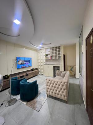 Furnished 2 Bedroom Flat, Ikate, Ikate Elegushi, Lekki, Lagos, Flat / Apartment for Rent