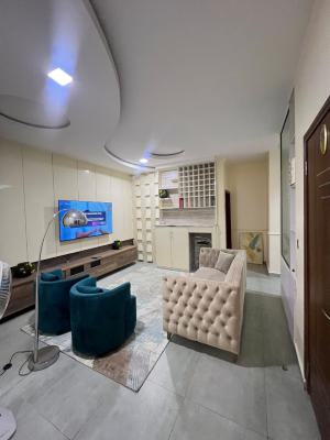 Well Furnished 2 Bedroom Apartment Within a Serene Environment, Ikate, Lekki, Lagos, Flat / Apartment for Rent