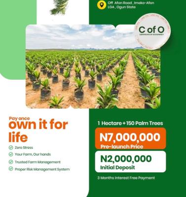 Own an Oil Palm Plantation, Yewa North, Abeokuta North, Ogun, Industrial Land for Sale