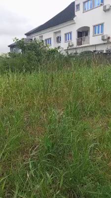 a Virgin Land Measuring 600 Sqm in a Secure Estate with C of O, Ori-oke, Ogudu, Lagos, Land for Sale