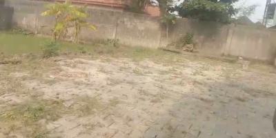a Standard, Divine Land, Karsana North, Karsana, Abuja, Mixed-use Land for Sale