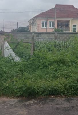 986sqm Bare Land in a Secured Estate, Carlton Gate Estate, Lekki, Lagos, Residential Land for Sale