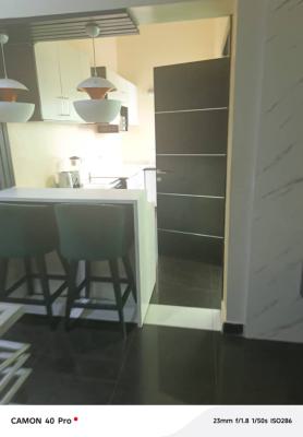 Fully Furnished 2 Bedroom Duplex, Gra Phase 2, Magodo, Lagos, House for Rent