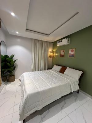 Newly Launched Luxury 1 Bedroom Apartment, Abayomi Estate, Surulere, Lagos, Flat / Apartment Short Let