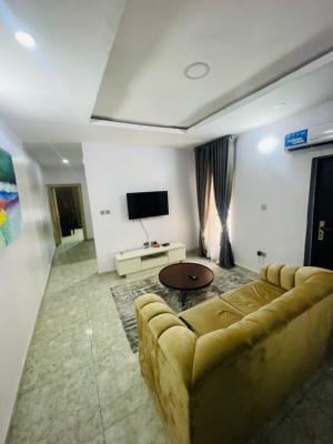 Luxury One Bedroom Apartment with Pool, Gym & 24 Hours Electricity, Chevron, Lekki, Lagos, Mini Flat (room and Parlour) Short Let