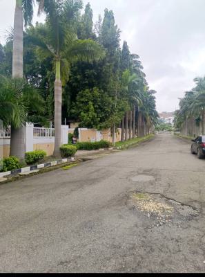 Luxury 9 Bedroom  Mansion, Aso Villa, Asokoro District, Abuja, Detached Duplex for Sale