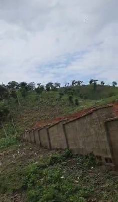 a Standard, Magnificent, Dry Land, Mende, Maryland, Lagos, Land Joint Venture