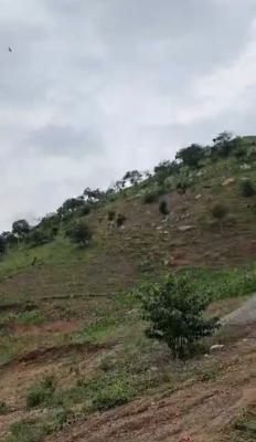 a Standard, Solid Land, Onigbongbo, Maryland, Lagos, Mixed-use Land for Sale
