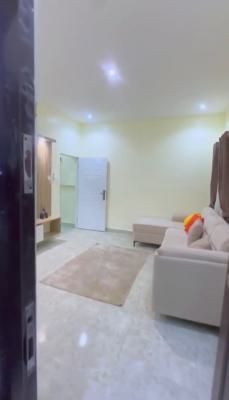 a Standard Fully Furnished and Serviced 1bedroom Apartment/flat, Asokoro District, Abuja, Mini Flat (room and Parlour) for Rent