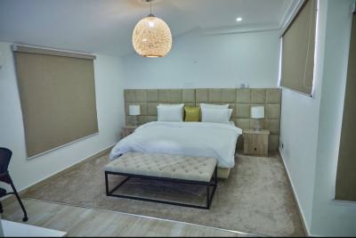 Furnished 3 Bedrooms Luxury Penthouse, Osapa London, Lekki, Lagos, Flat / Apartment for Sale