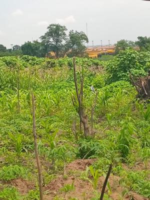537sqm Plot of Land, Favour Estate, Akinyele, Ibadan-oyo, Akinyele, Oyo, Mixed-use Land for Sale