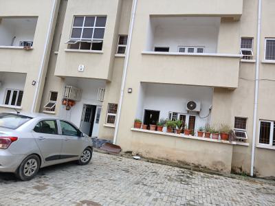 Luxury 3bedroom Apartment, Express Road, Galadimawa, Abuja, Flat / Apartment for Rent