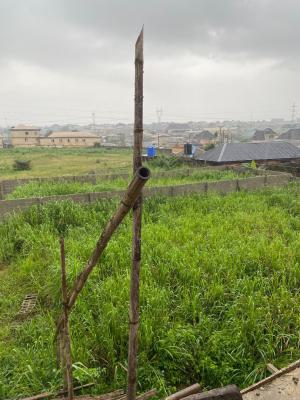 120 By 60 Plot of Land Located at Back of Ambassdor School Ota, Nice People Estate. Ado Ota, Ado-odo/ota, Ogun, Land for Sale