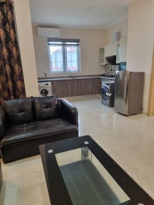 Furnished 1bedroom Apartment, By Hillcrest Gardens Estate, Katampe, Abuja, Mini Flat (room and Parlour) for Sale