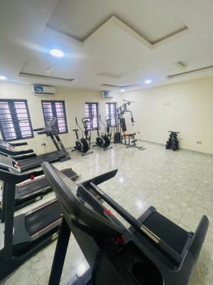 Fully Service 2 Bedroom Apartment with Acs, Gym, Swimming Pool & 24hr, Lekki Lagos, Ikota, Lekki, Lagos, Flat / Apartment for Rent