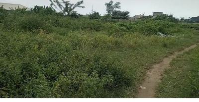 70 Plots of  Land,idea for Estate( Good Location), Bhide Lagos Business School( Good Title, Olokonla, Ajah, Lagos, Residential Land for Sale